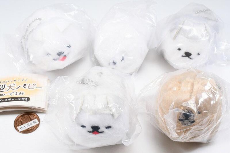 てのひらサイズの大型犬パピー