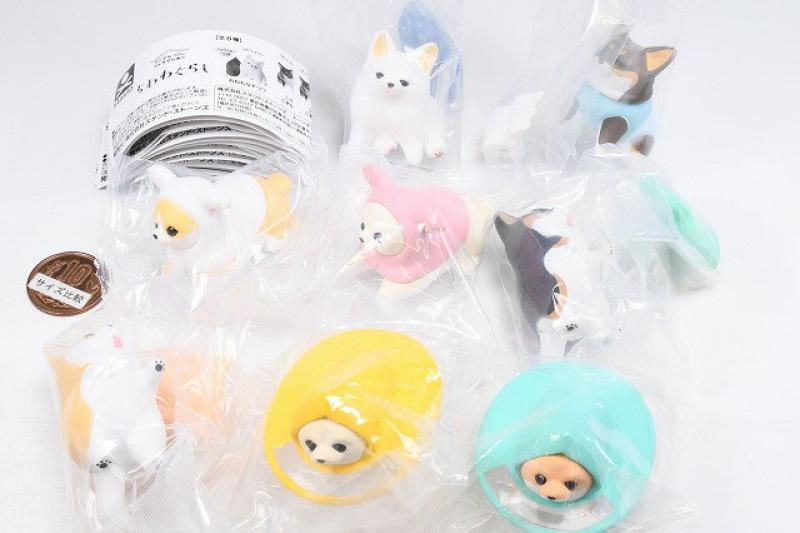 アニマルアトラクション ちわわぐらし