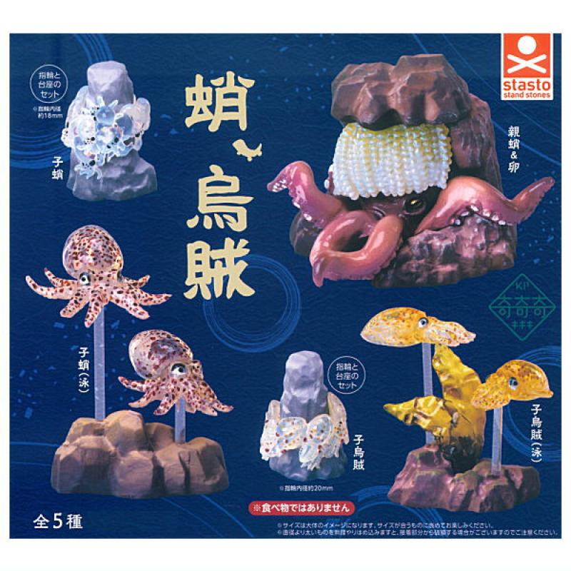 奇奇奇 蛸、烏賊