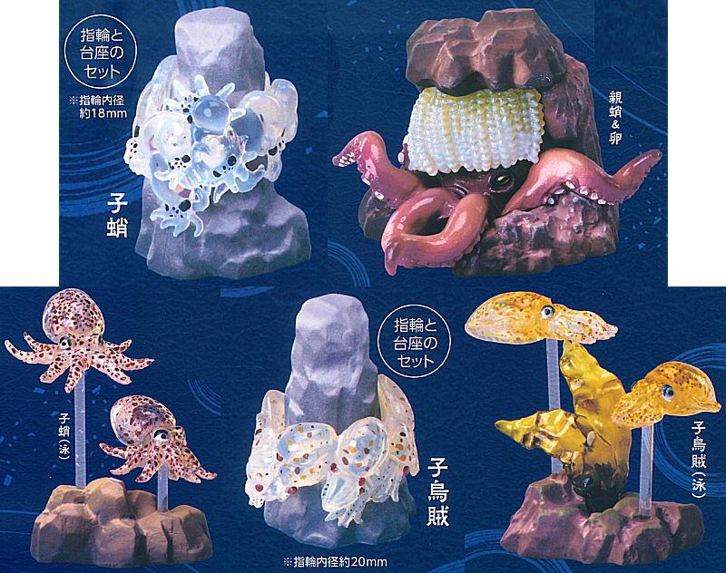 奇奇奇 蛸、烏賊