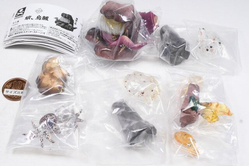 奇奇奇 蛸、烏賊