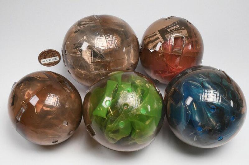 いきもの大図鑑 くわがた11