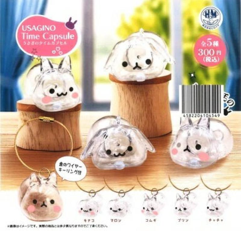 うさぎのタイムカプセル