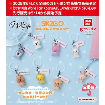 SKZOO めじるしアクセサリー