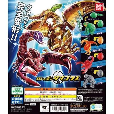 ガシャポンタマゴラス6
