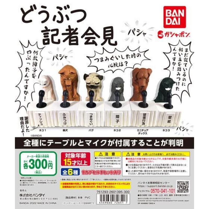 どうぶつ記者会見