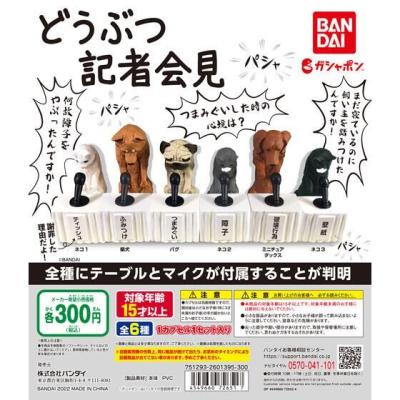 どうぶつ記者会見
