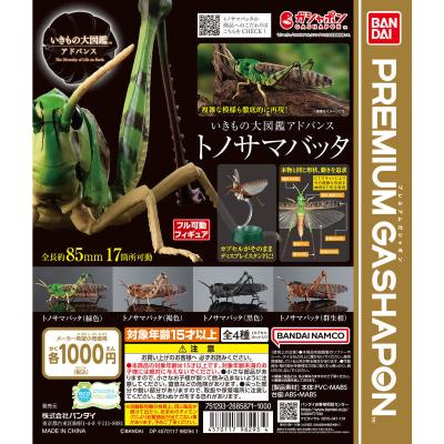いきもの大図鑑アドバンス トノサマバッタ