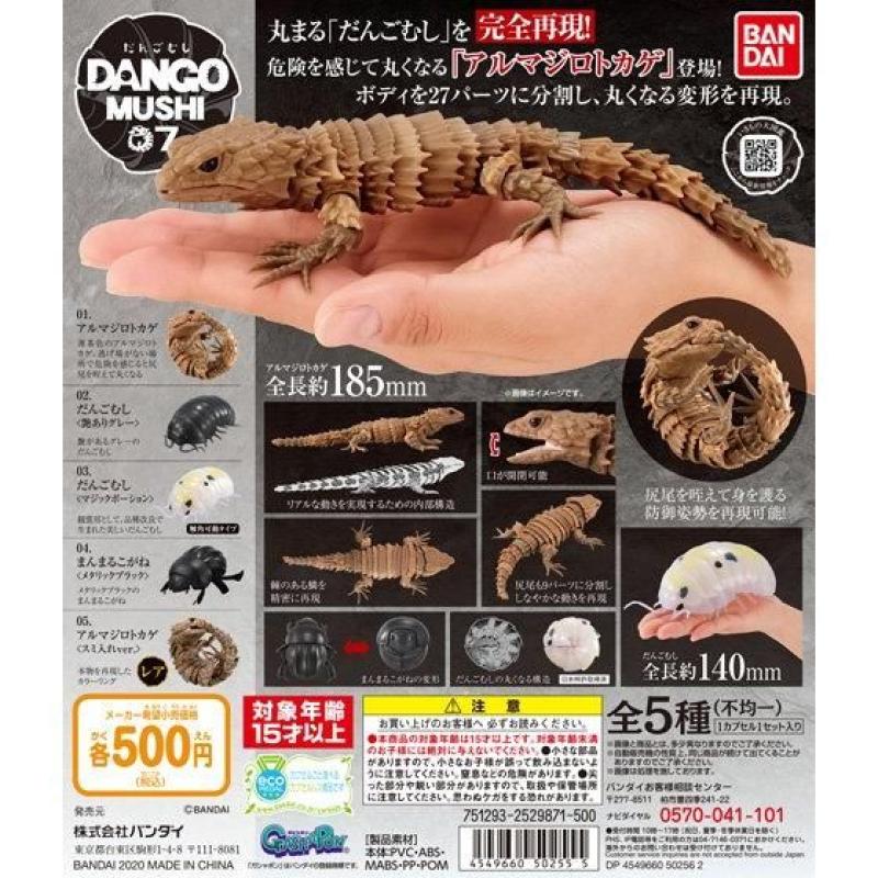 だんごむし07　だんごむしとアルマジロトカゲ