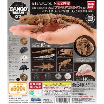 だんごむし07 だんごむしとアルマジロトカゲ