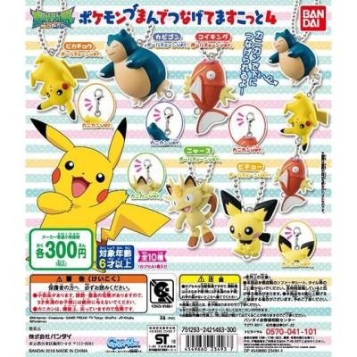 ポケットモンスター ポケモンつまんでつなげてますこっと4