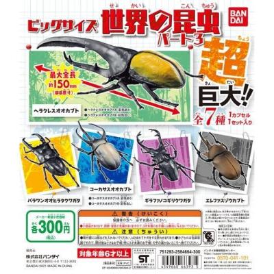 ビッグサイズ 世界の昆虫 パート3