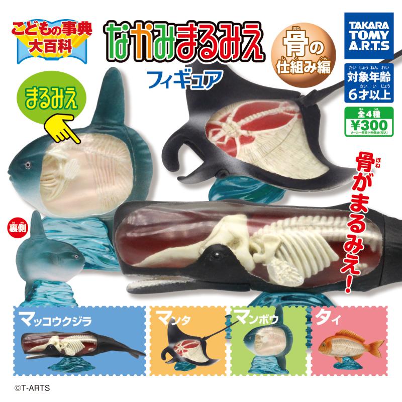 こどもの辞典大百科
なかみまるみえフィギュア
骨の仕組み編