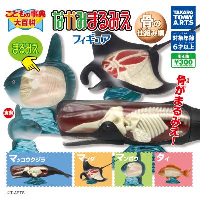 こどもの辞典大百科
なかみまるみえフィギュア
骨の仕組み編