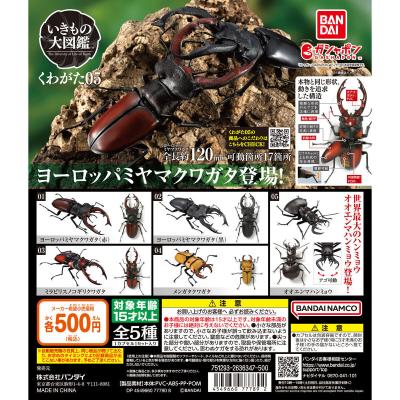 いきもの大図鑑 くわがた05