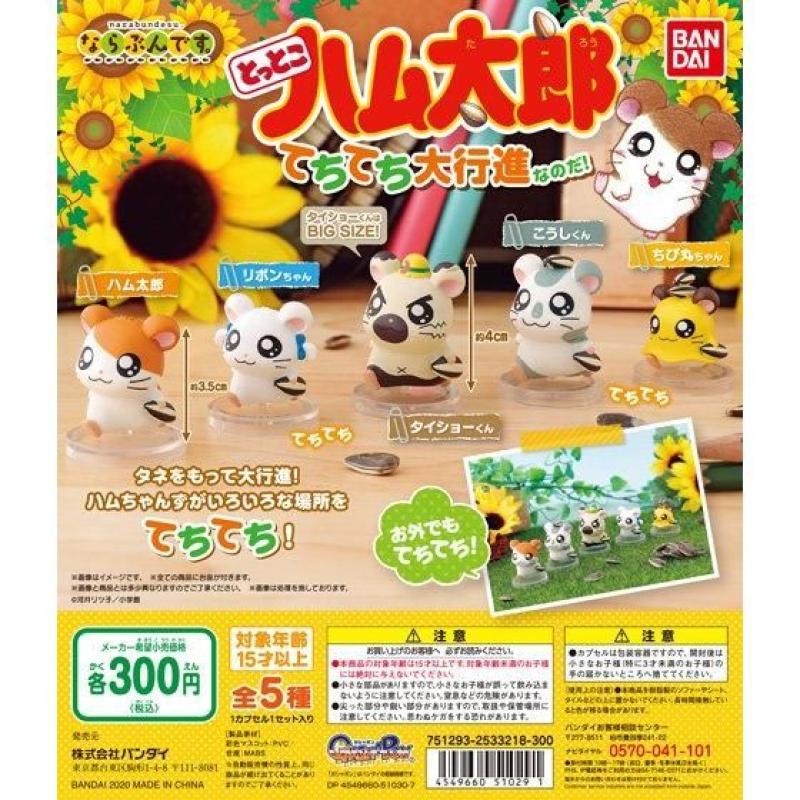 ならぶんです。　とっとこハム太郎　てちてち大行進なのだ！
