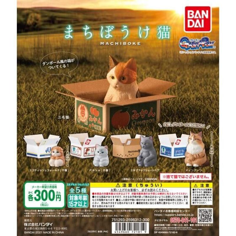 まちぼうけ猫
