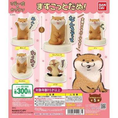 可愛い嘘のカワウソ　ますこっとだぬ！