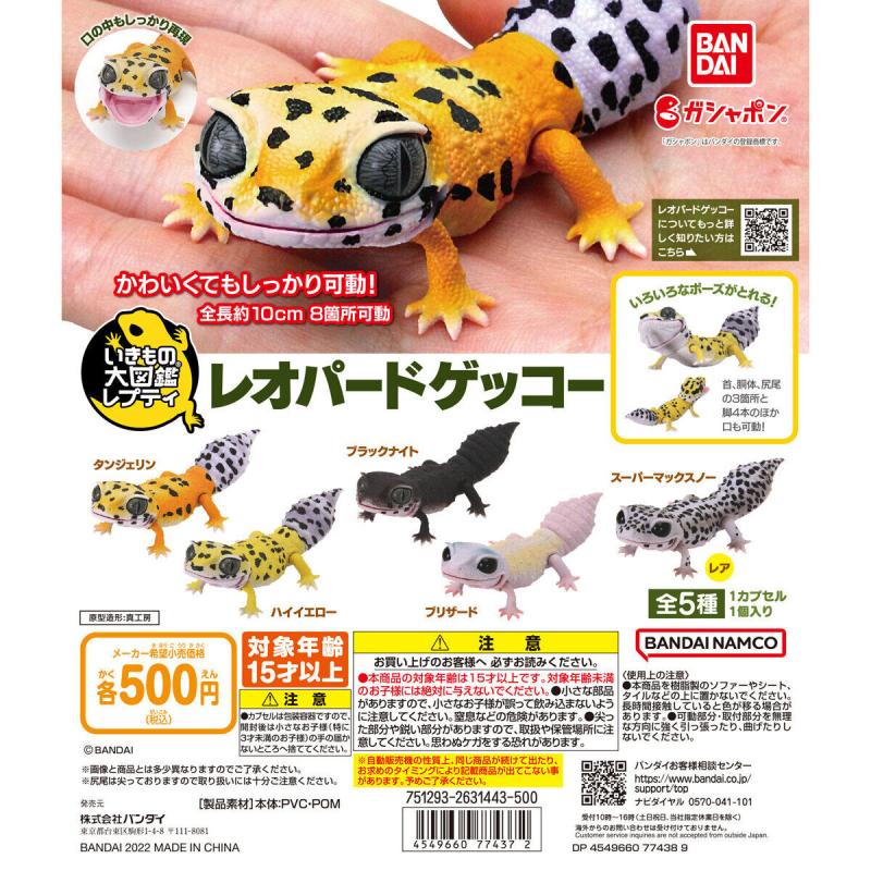 いきもの大図鑑レプティ　レオパードゲッコー
