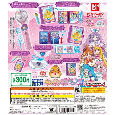 ひろがるスカイ!プリキュア なりきりプリキュア4
