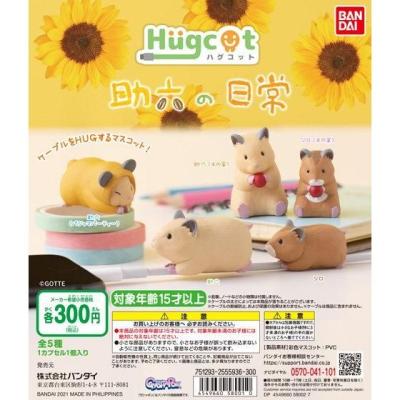 ハグコット 助六の日常