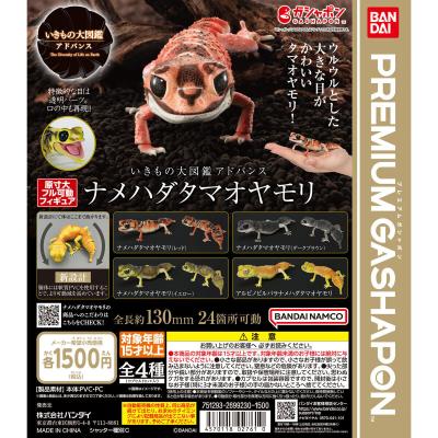 いきもの大図鑑アドバンス ナメハダタマオヤモリ