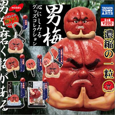 男梅
心にしみるグッズコレクション