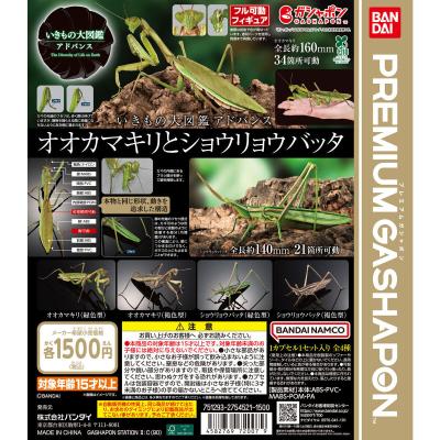 いきもの大図鑑アドバンス オオカマキリとショウリョウバッタ