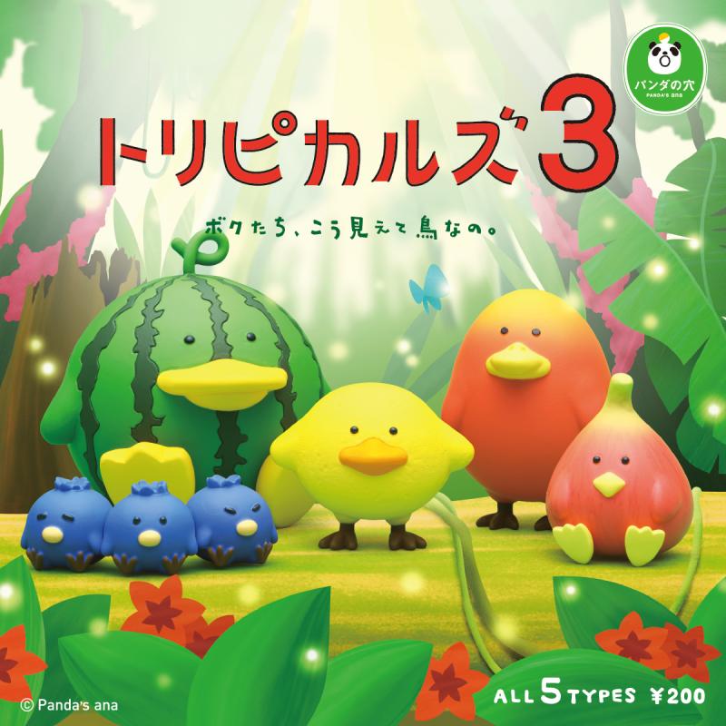 パンダの穴　トリピカルズ３