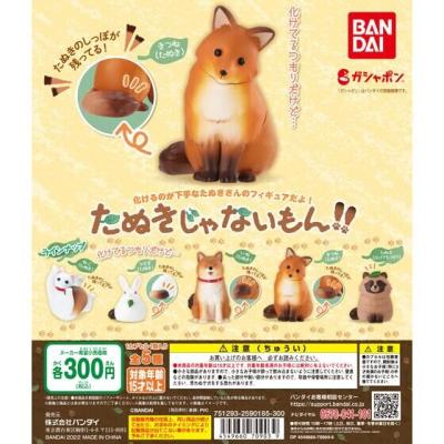 たぬきじゃないもん!!
