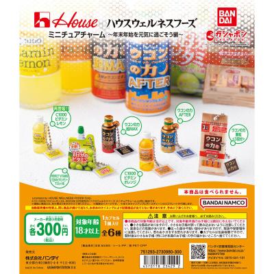 ハウスウェルネスフーズ ミニチュアチャーム ~年末年始を元気に過ごそう編~