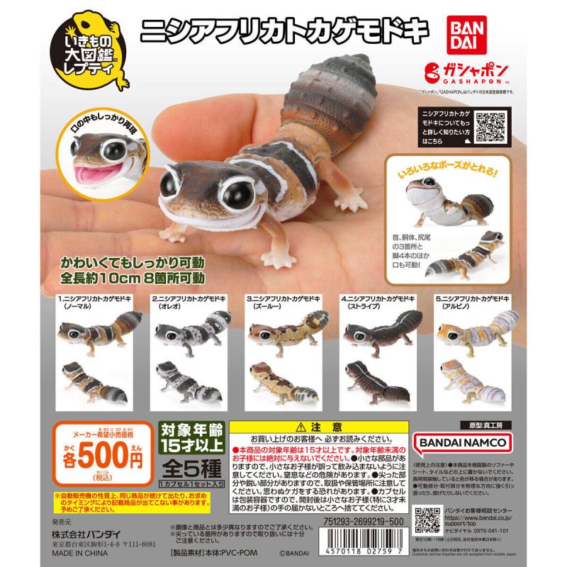 いきもの大図鑑レプティ ニシアフリカトカゲモドキ