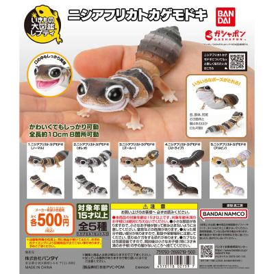 いきもの大図鑑レプティ ニシアフリカトカゲモドキ