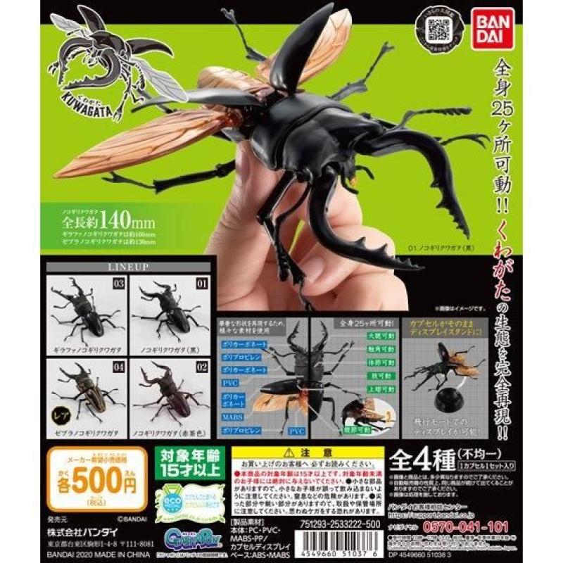 くわがた
