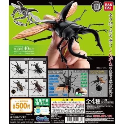 くわがた