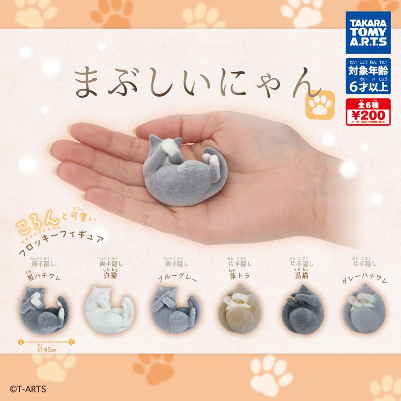まぶしいにゃん