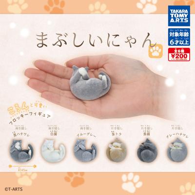 まぶしいにゃん