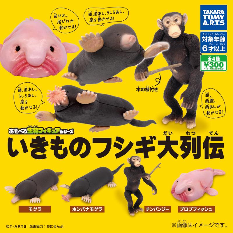あそべる生物フィギュアシリーズ
いきものフシギ大列伝
