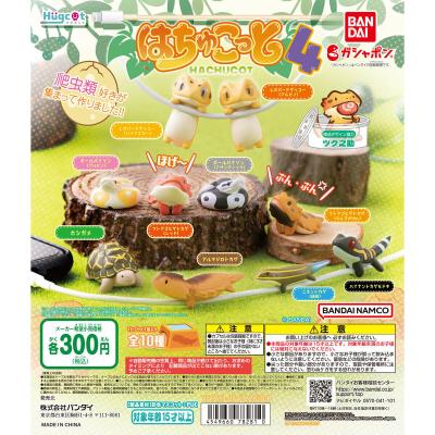 ハグコット はちゅこっと4
