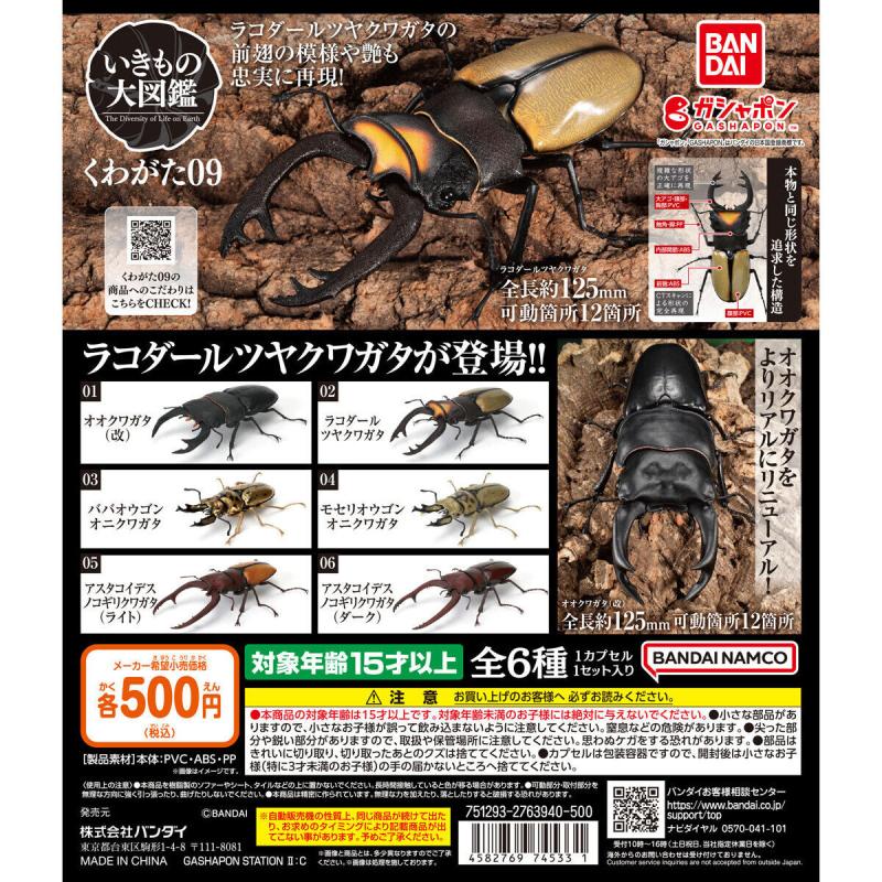 いきもの大図鑑 くわがた09