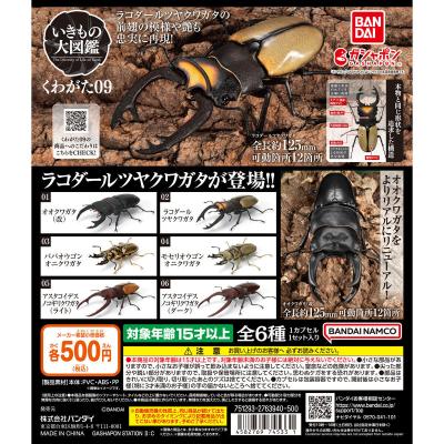 いきもの大図鑑 くわがた09