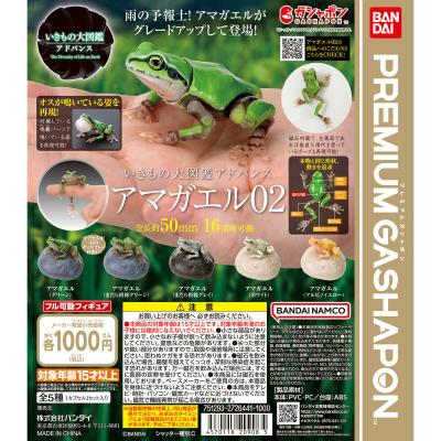 いきもの大図鑑アドバンス アマガエル02
