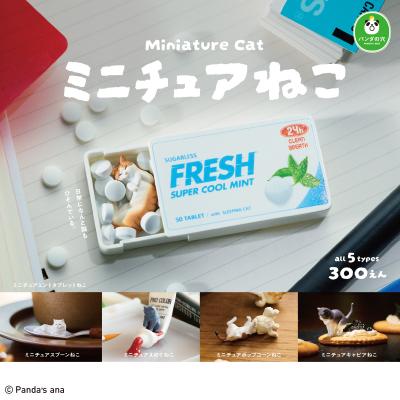 パンダの穴 ミニチュアねこ