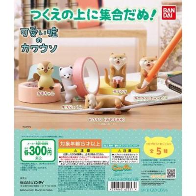 可愛い嘘のカワウソ つくえの上に集合だぬ!