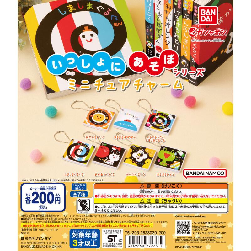 いっしょにあそぼシリーズ　ミニチュアチャーム