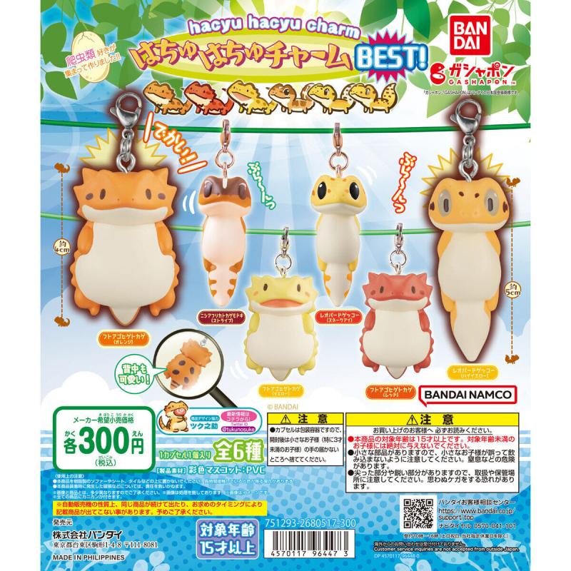 はちゅはちゅチャーム～BEST!～