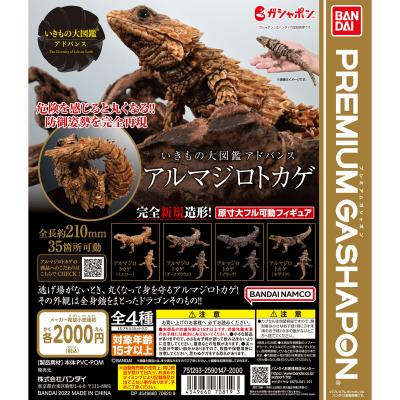 いきもの大図鑑アドバンス　アルマジロトカゲ