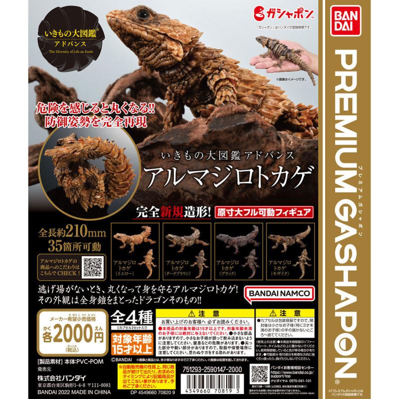 いきもの大図鑑アドバンス　アルマジロトカゲ