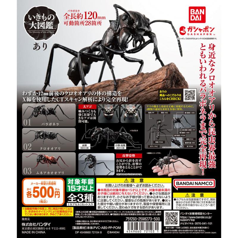 いきもの大図鑑　あり