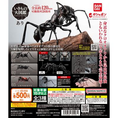 いきもの大図鑑 あり